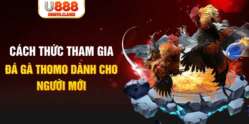 8x bet DB Trực Tuyến