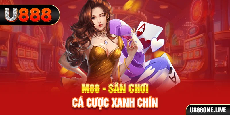 8x bet gà chọi c1