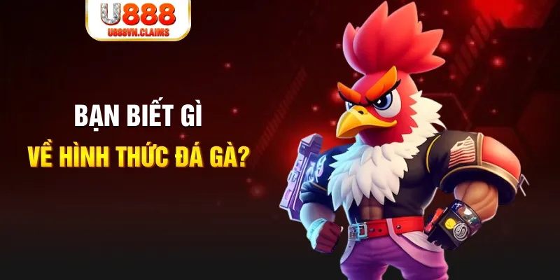 8x bet xổ số miền nam thứ năm hàng tuần