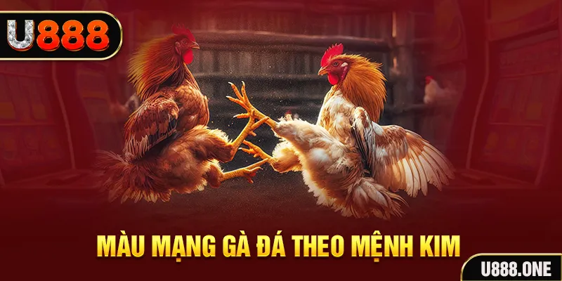 8x bet trực tiếp xổ số miền bắc