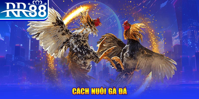 8x bet 2 slot là gì