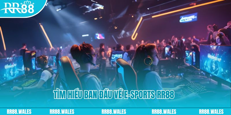 8x bet slot game là gì