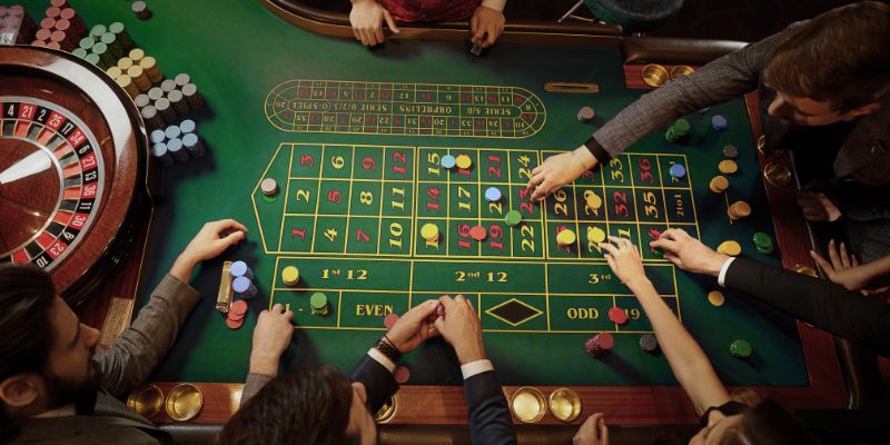 8x bet AOG Đá Gà