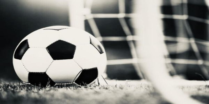 8x bet DG Trực Tuyến