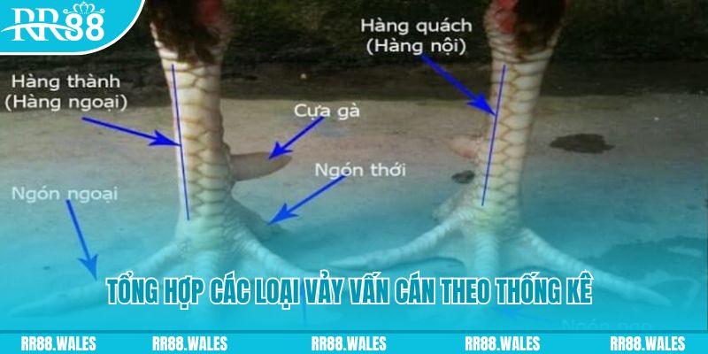 8x bet Bài Poker Bonus Kép