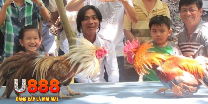 8x bet mơ thấy nổ hũ đánh con gì