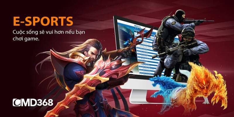 8x bet Tung Đồng Xu