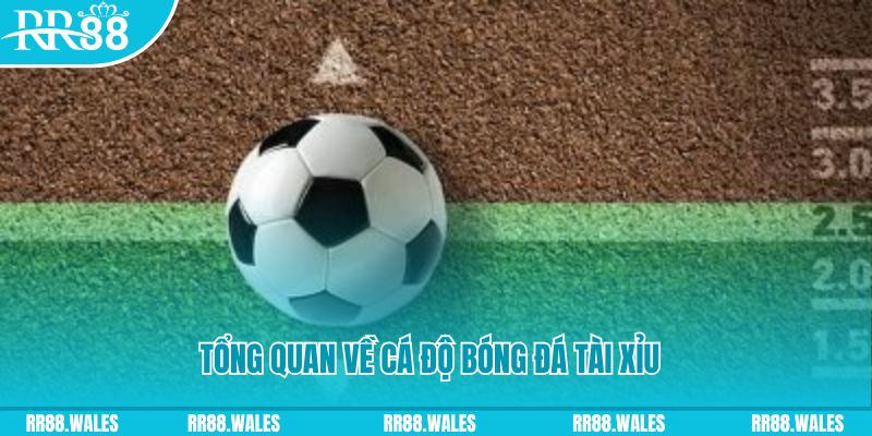 8x bet xổ số miền trung thứ tư