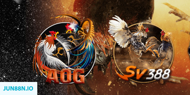 8x bet baccarat là cái gì