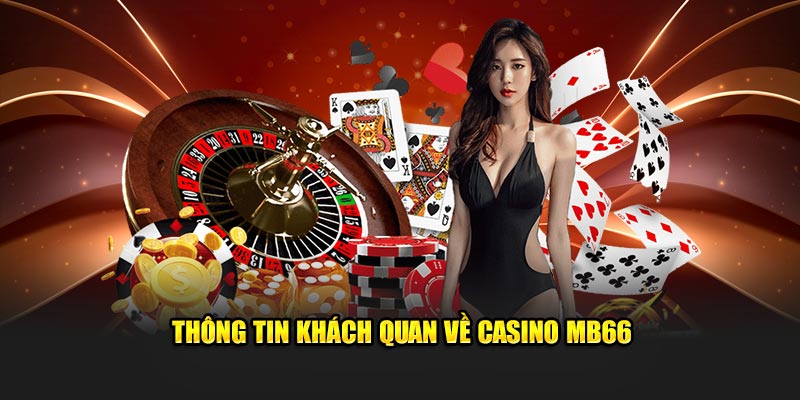8x bet time slot là gì