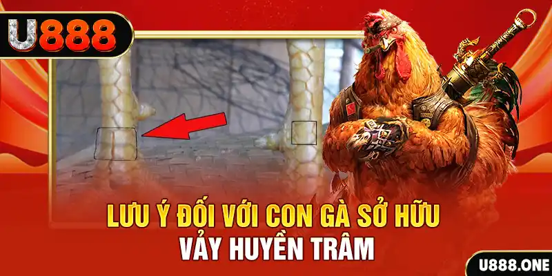 8x bet WM Trực Tuyến