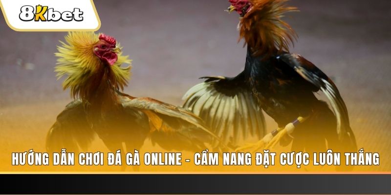 8x bet cá cược bóng đá là gì