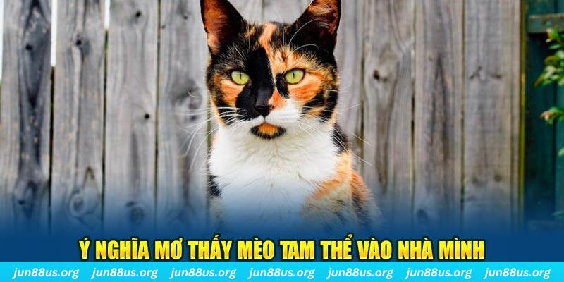 8x bet SA Trực Tuyến