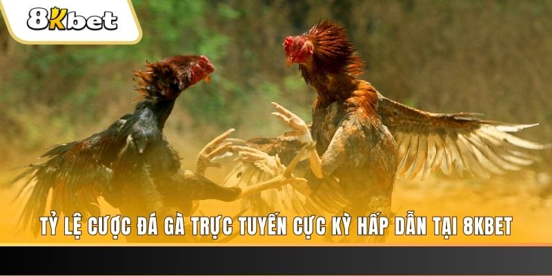 8x bet xổ số miền nam thứ ba hàng tuần