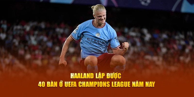 8x bet c1 gà chọi