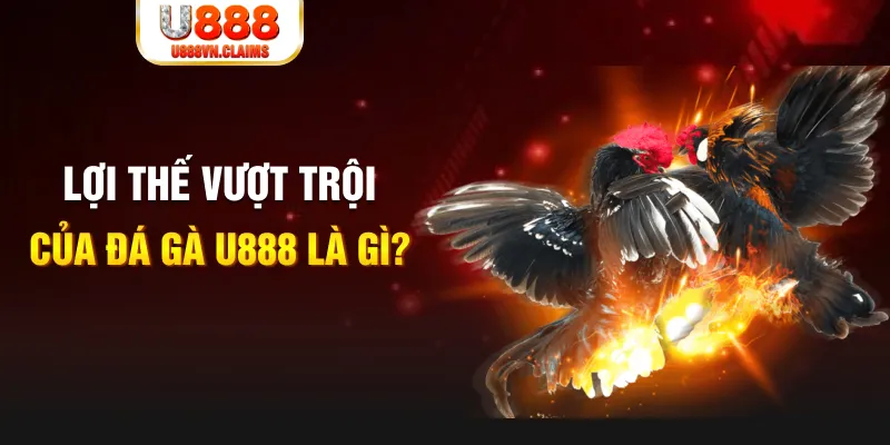 8x bet casino online là gì
