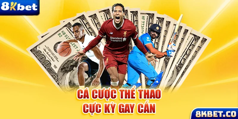 đá gà trực tiếp c3