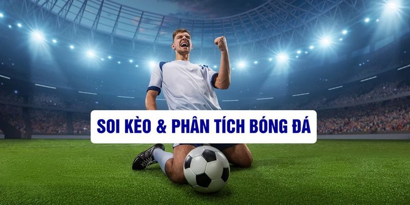 8x bet VIA Trực Tuyến